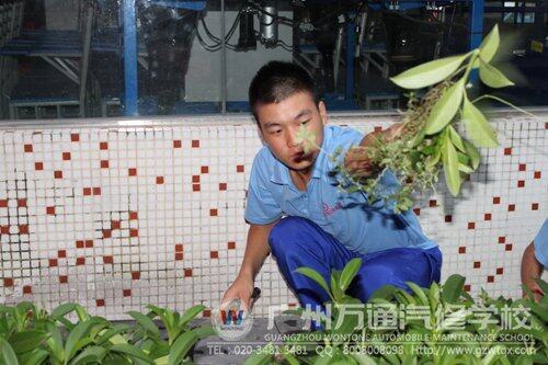 同学们在整理杂草