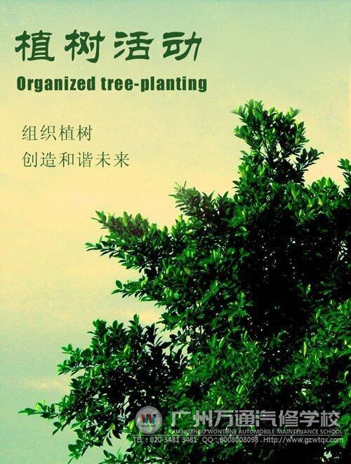 植树造林，保护环境，从你我做起